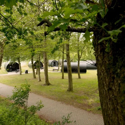 Annebergs Limtræ Natursuiter Hytter Sportscenter Skov